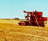 Campo